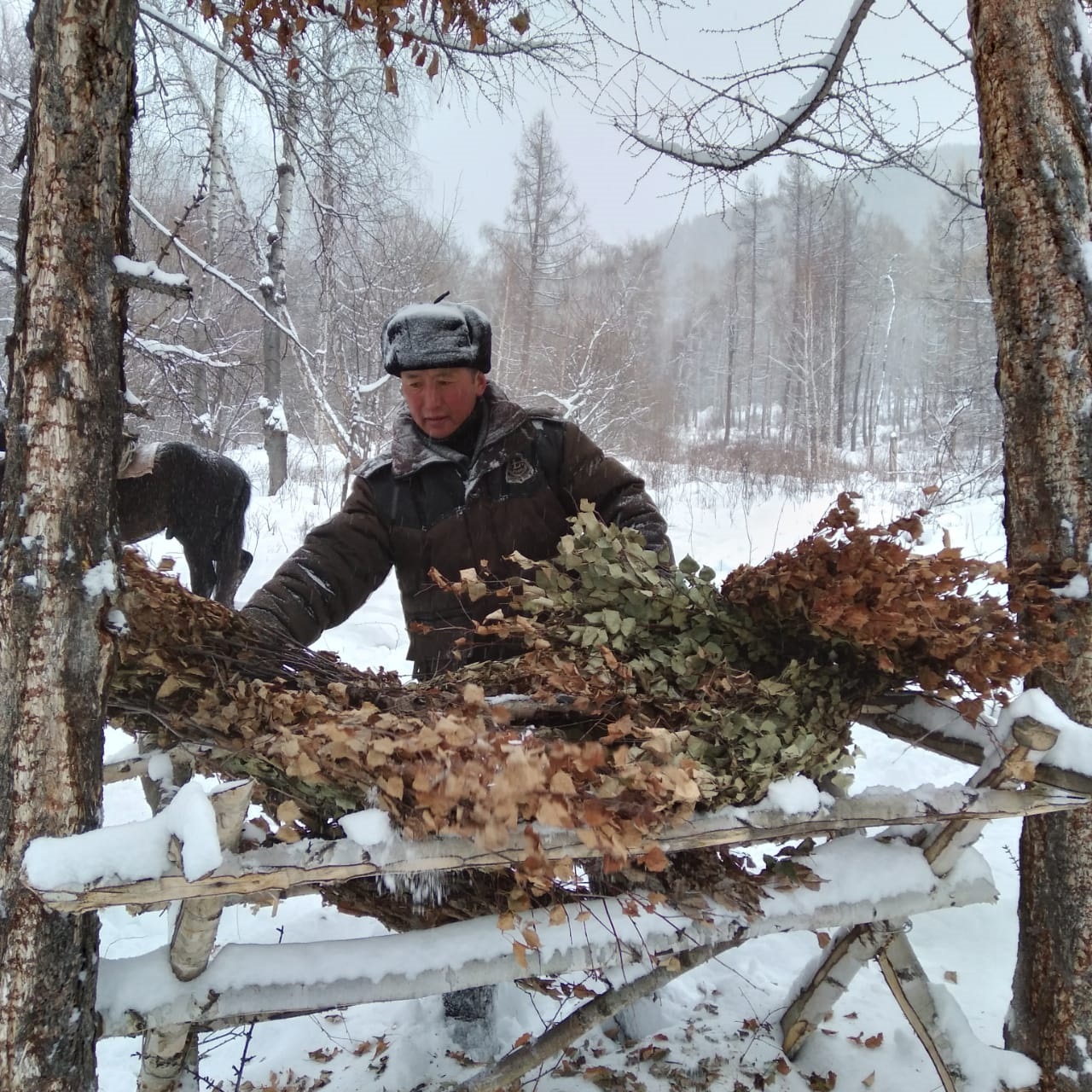 Ań-qustardy qoldan qorektendiredi