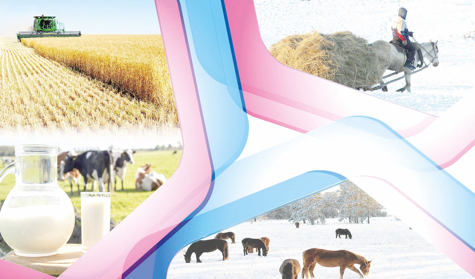 Maldyń qamy – jannyń qamy