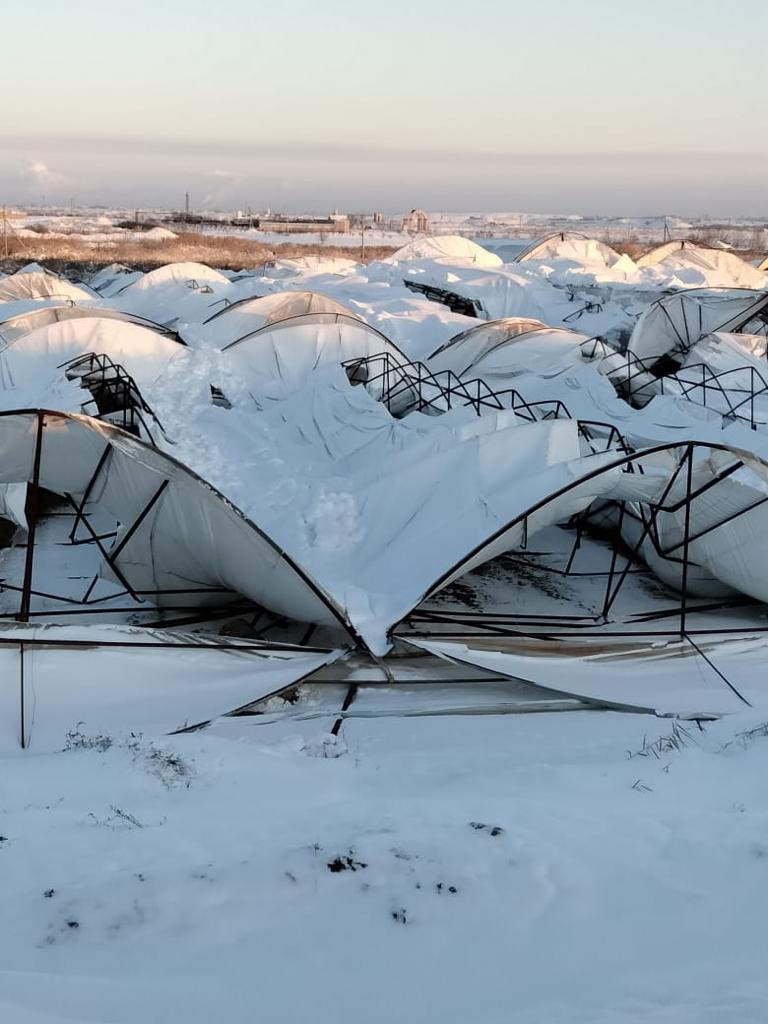 Jylyjaıdaǵy sýyq jaı