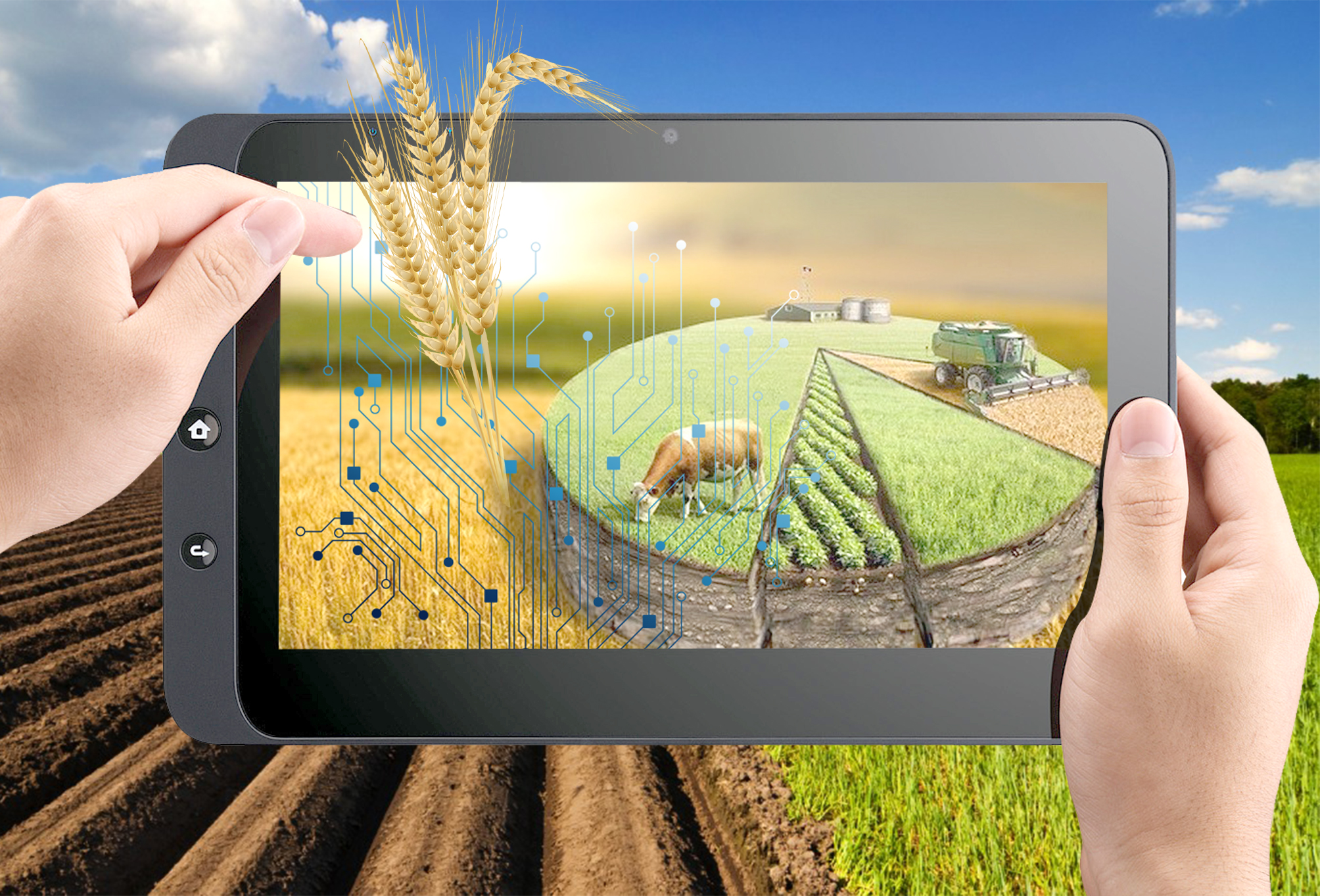 Jerdi kókten tekseremiz