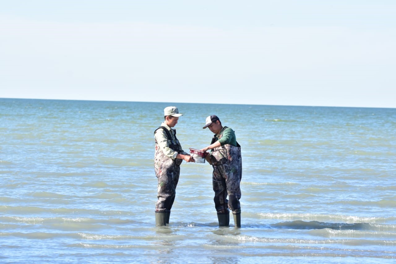 Shalqar kólinen tabylǵan jándik