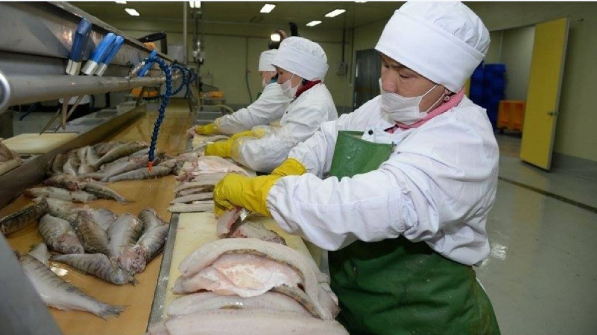 Balyq sharýashylyǵynyń bary men joǵy