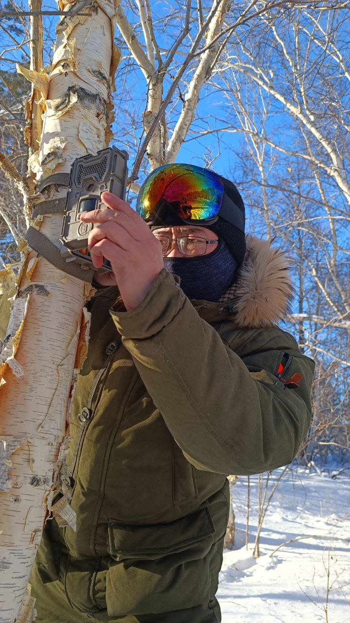 Qańtardaǵy qasqyr sanaǵy