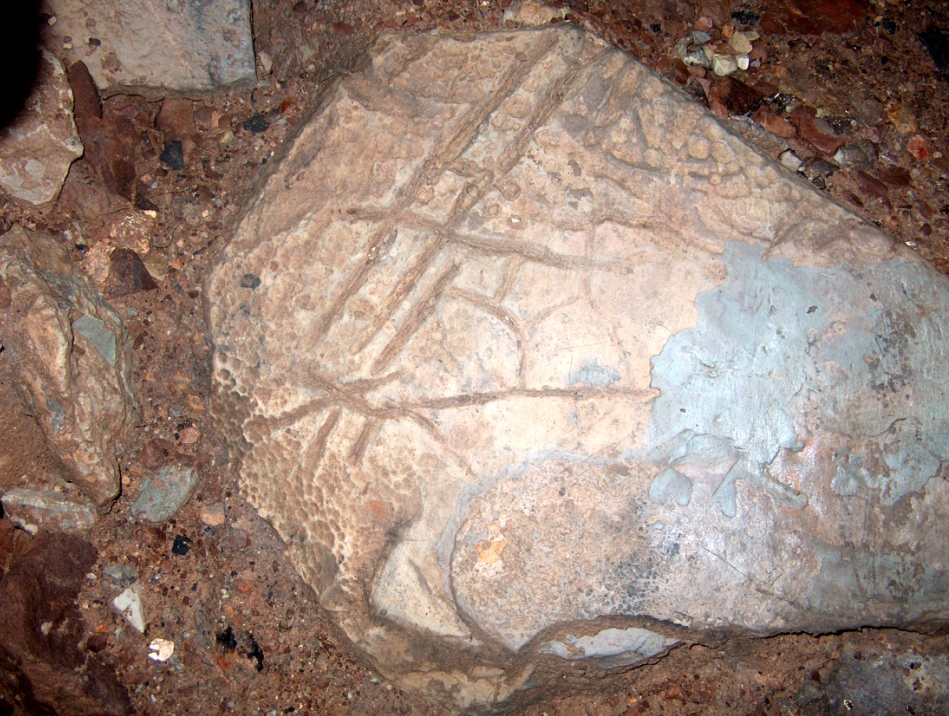 Botamoınaqtaǵy beımálim tańba