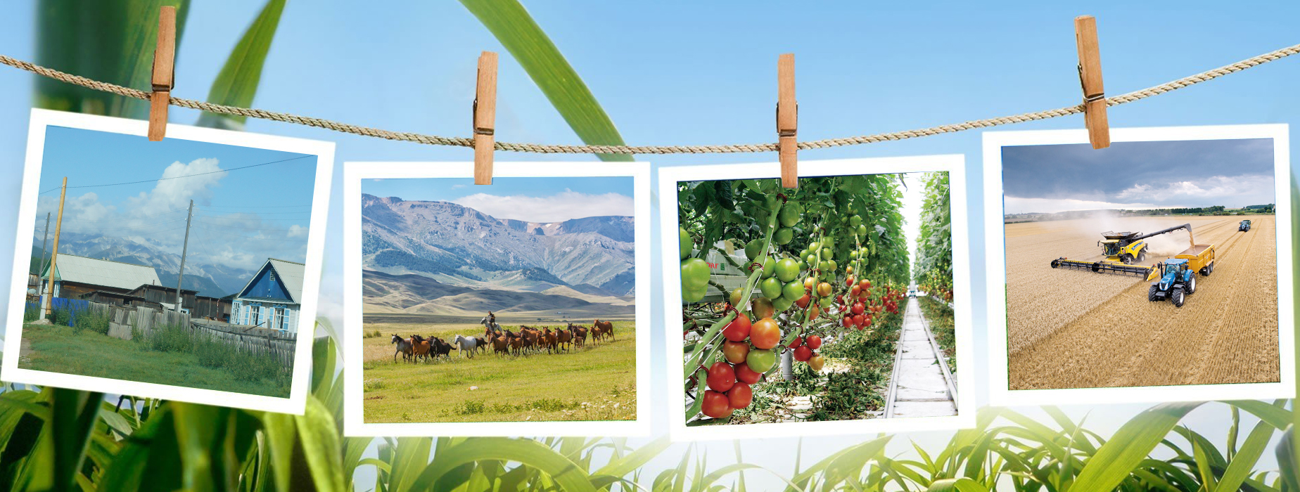 Eldiktiń qaınar kózi – aýyl klasterin damytý