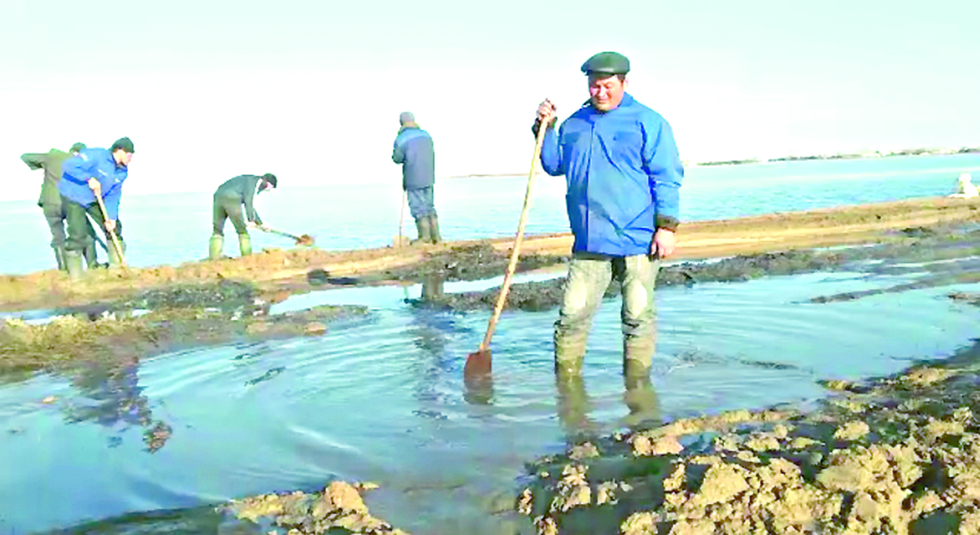 Sý basýdyń qaýip-qateri