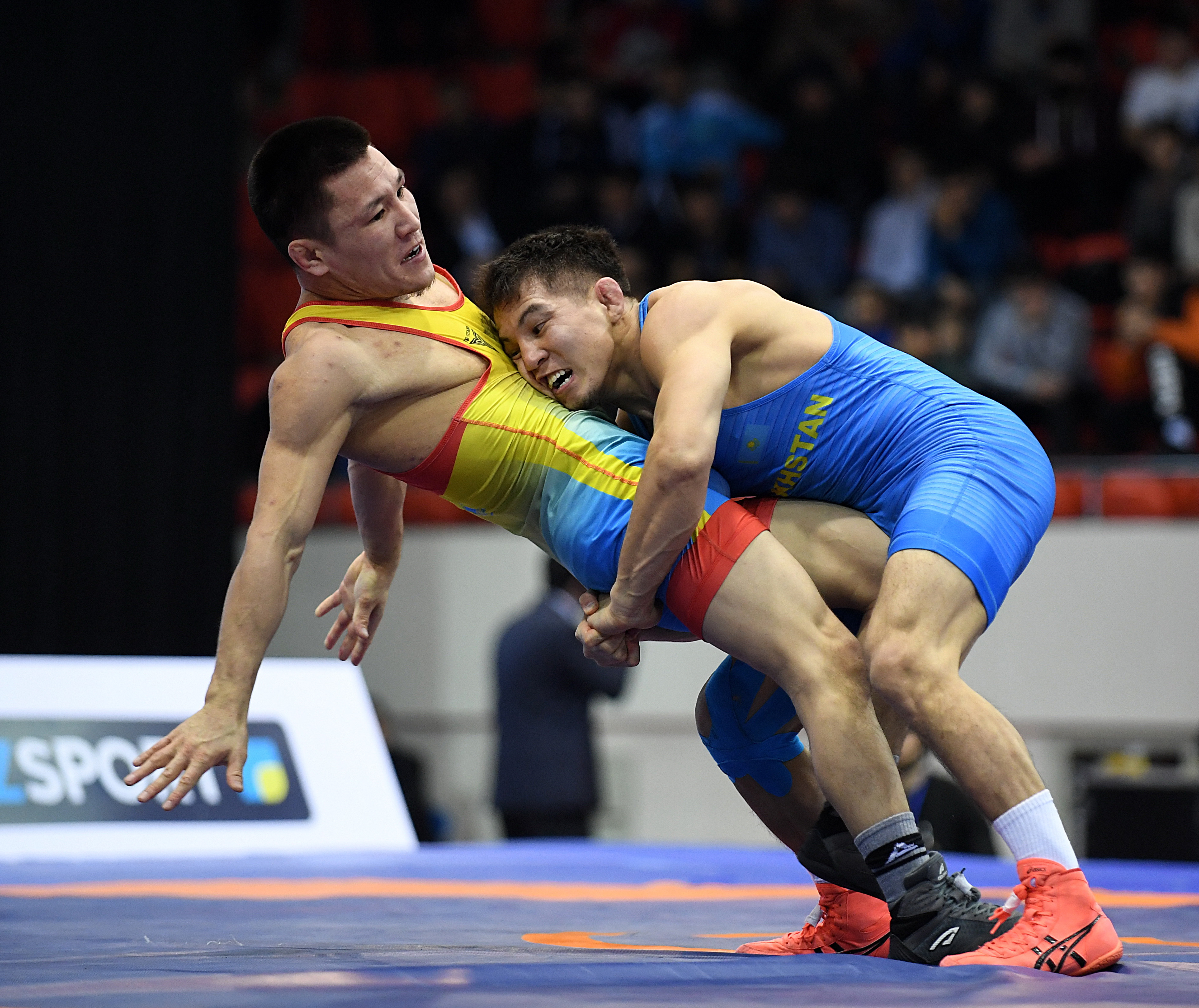 Jambyldyqtardyń jarqyn jeńisi