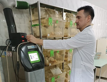 Ult saýlyǵyna arnalǵan jobalar