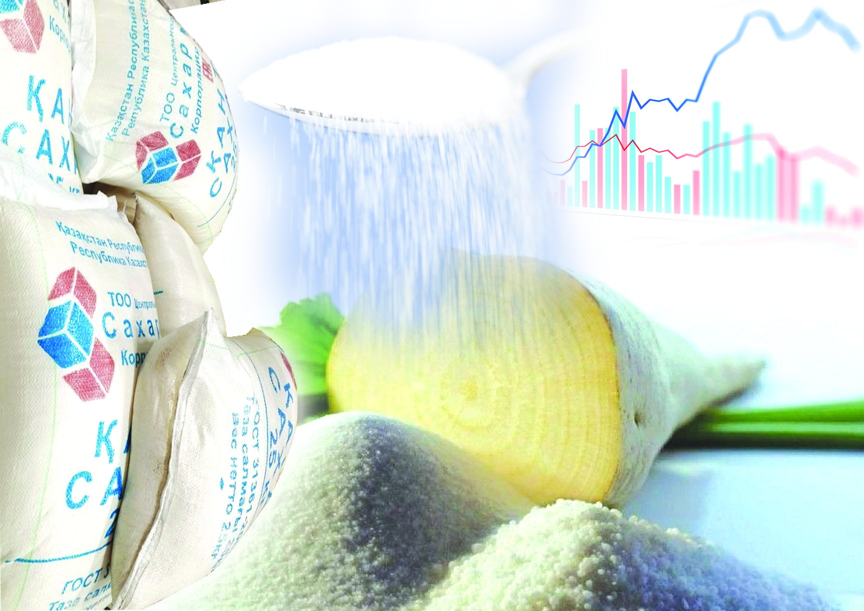 Qant tapshylyǵy qalaı retteledi?