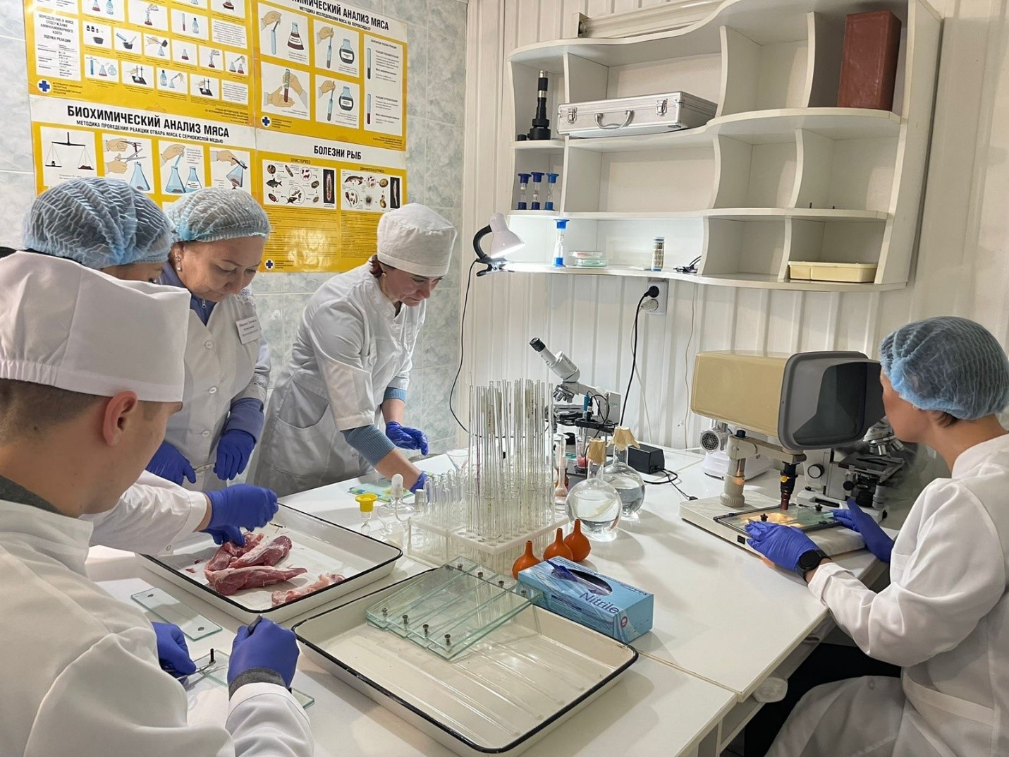 Sapaly ónim –  saýlyq kepili