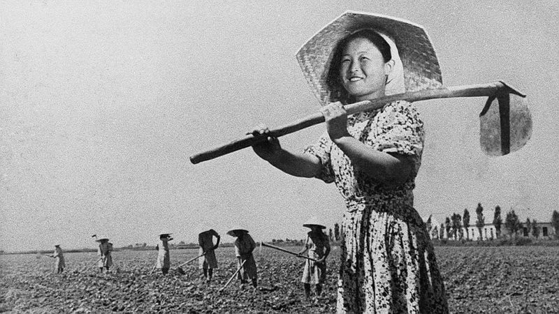 Koreıler tartqan taýqymet