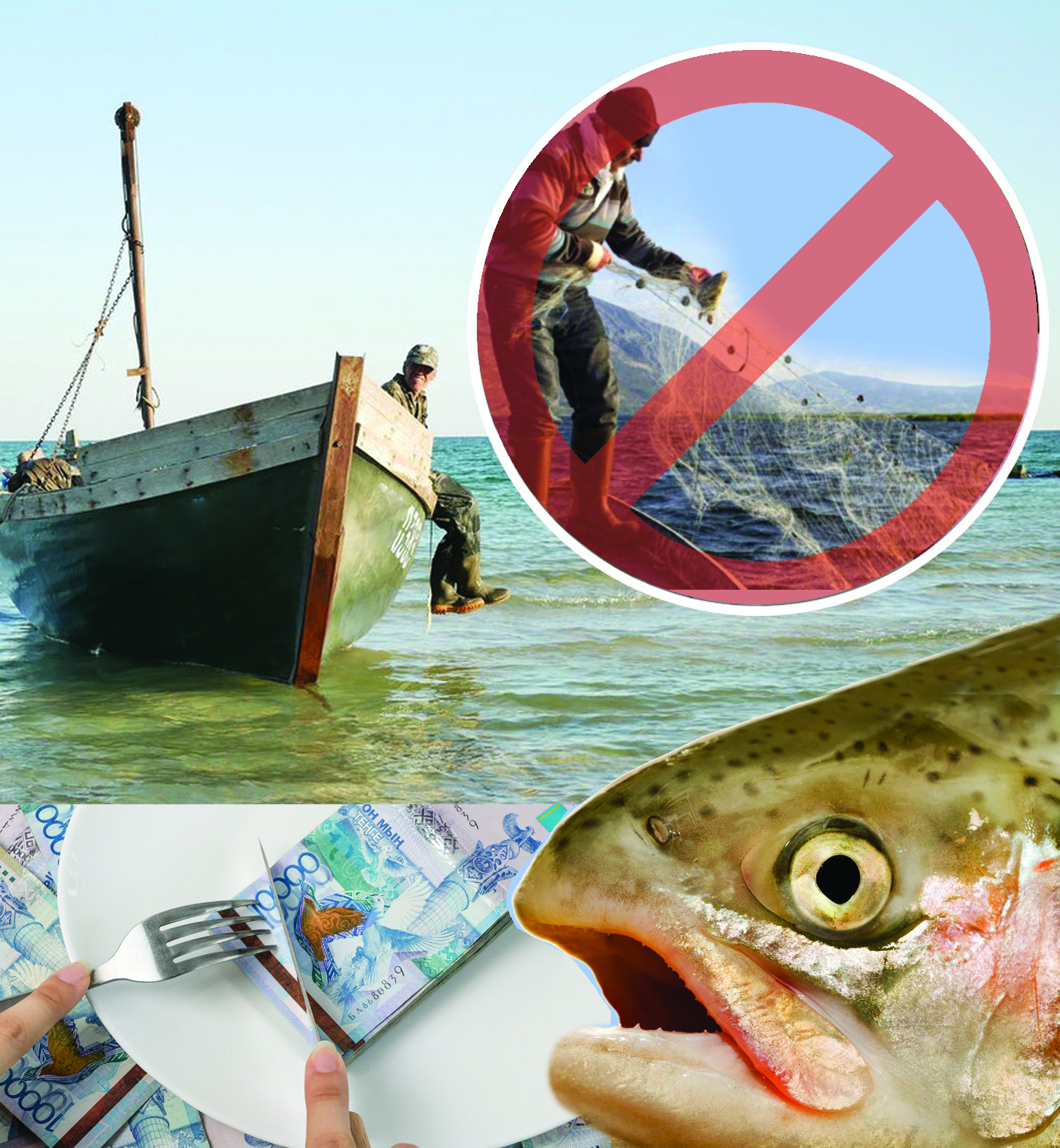 Aýksıonnyń áýresi nemese balyqshylar nege brakonerge aınaldy?