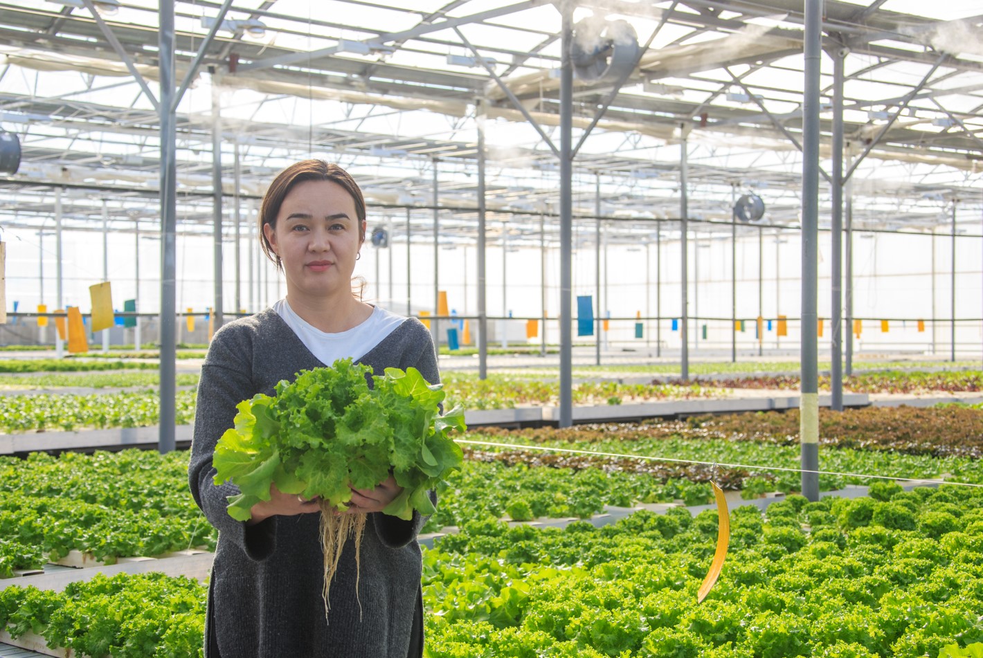 «Jetisy green»: Kók shópten de kóp paıda bar