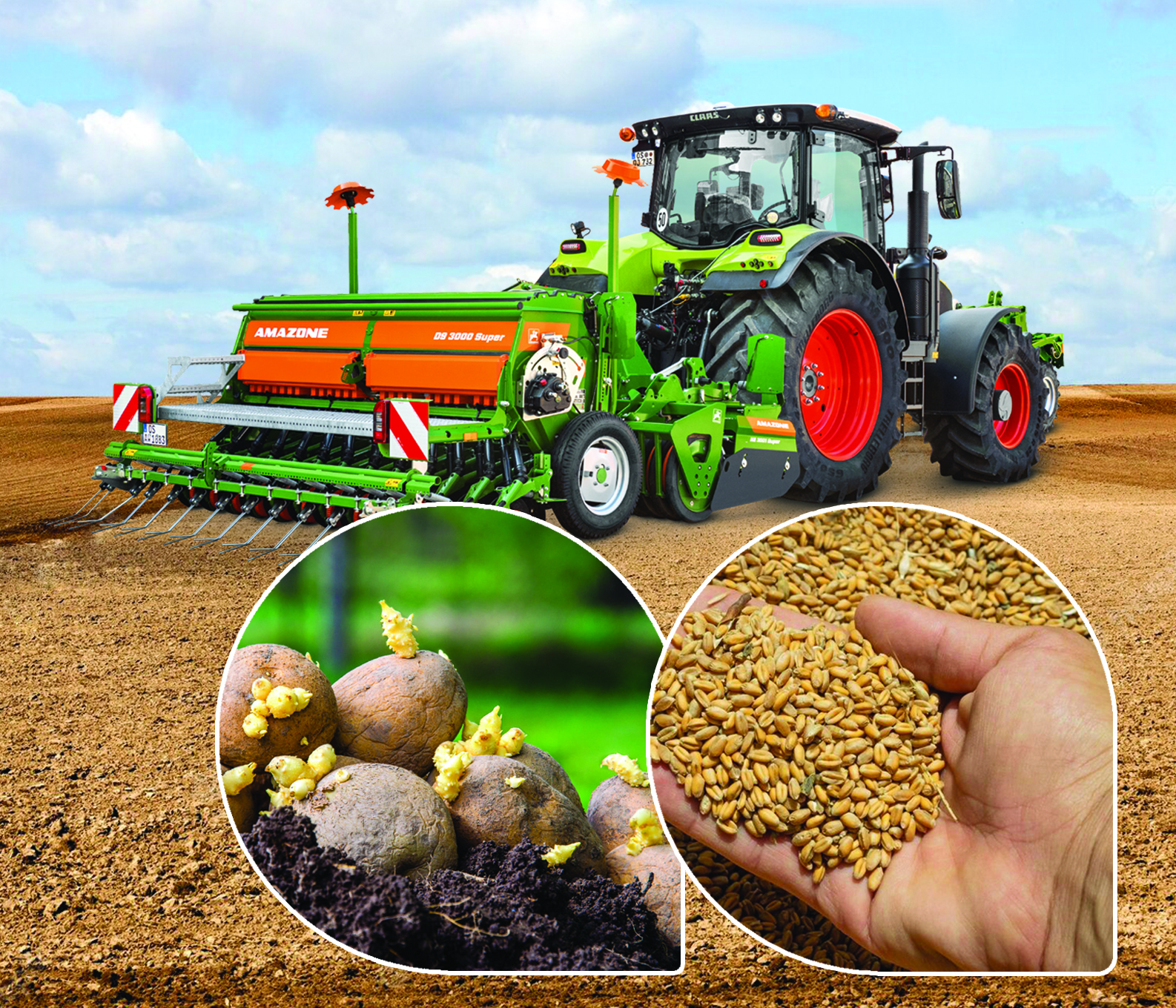 Dala jumysyna daıyndyq