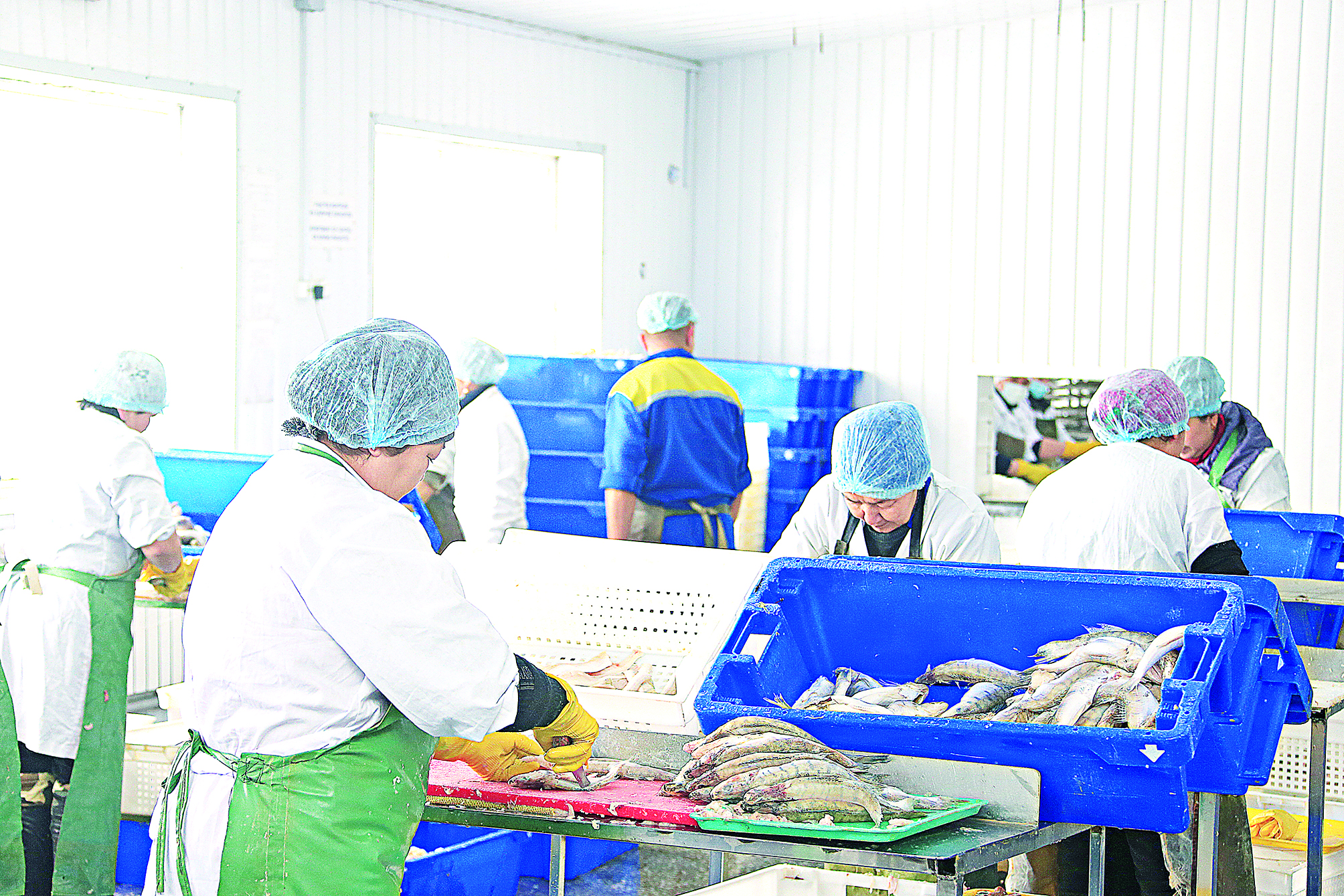 Balyq ónimderiniń bási bıik