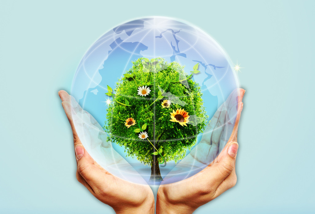 Tabıǵatty qorǵaý qadamdary