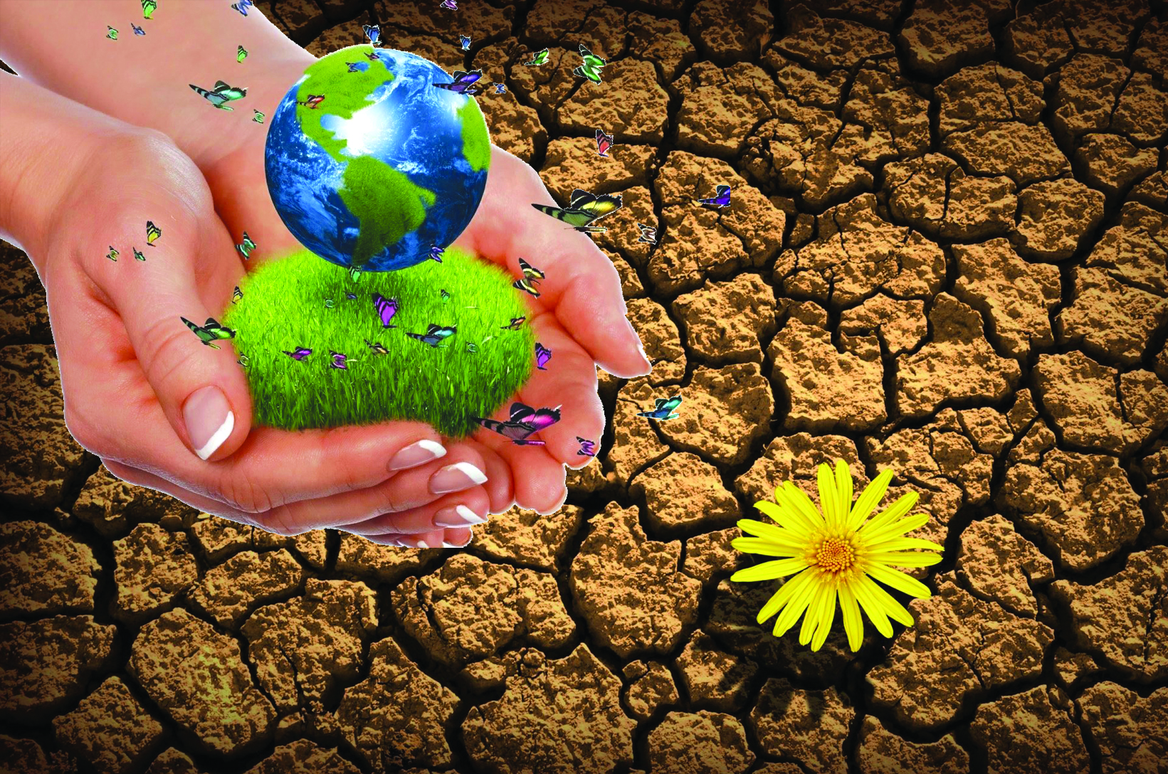 Topyraqtan ómir ıisi shyǵady