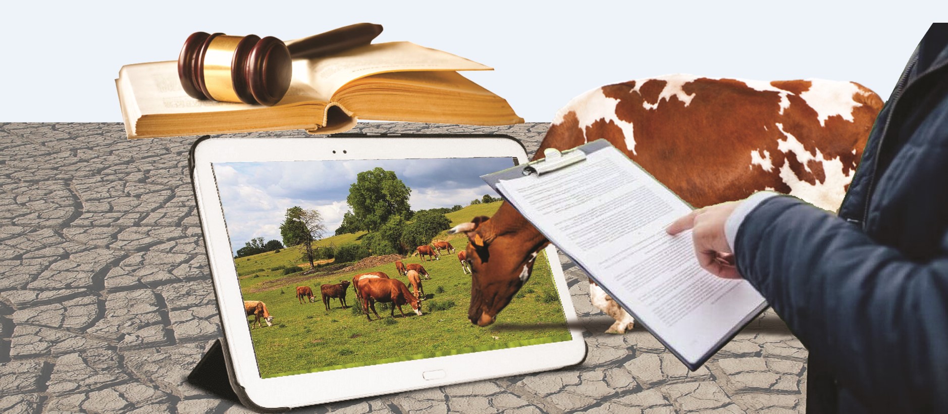 «Qoljetimsiz jaıylym...» Ákimder statıstıkanyń burmalanýyna múddeli me?