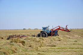 Sharýanyń qolyn baılaǵan «shıkilik»