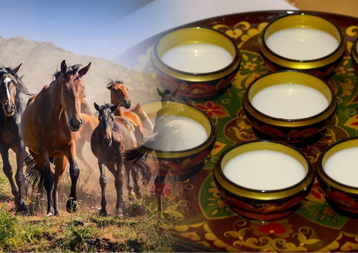 Qymyzdyń adam densaýlyǵyna qandaı paıdasy bar?