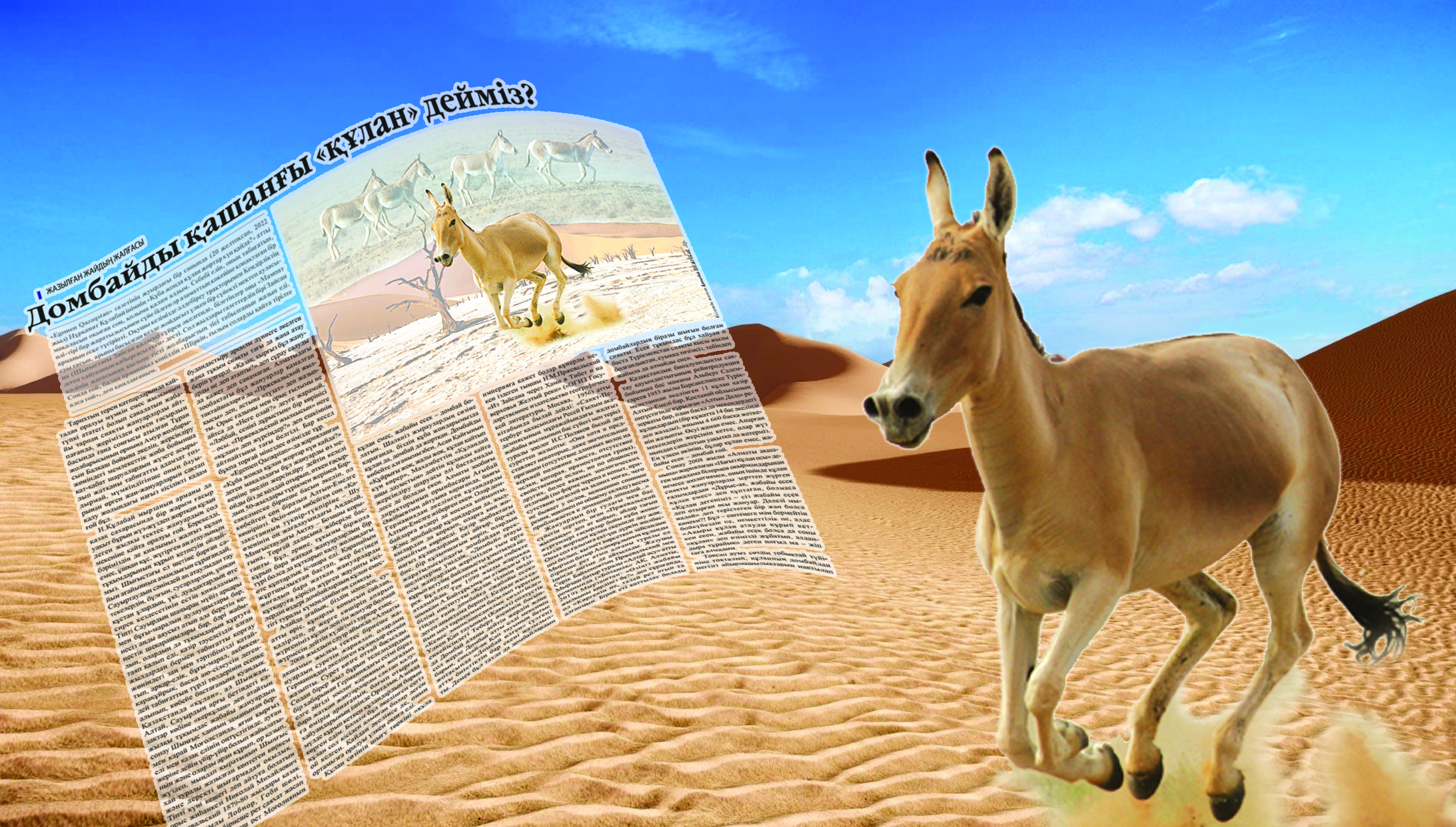 Qulan dep júrgenimiz dombaı emes