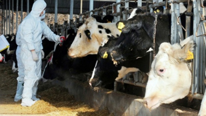 Úsh óńirde karantın jarııalandy