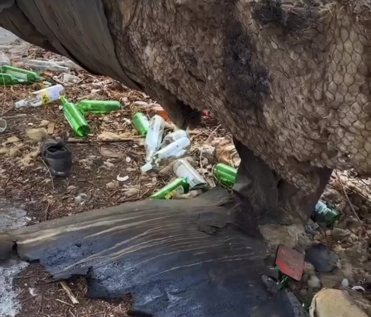 Pavlodarda sanıtarlyq talapty saqtamaǵandarǵa iri aıyppul salyndy