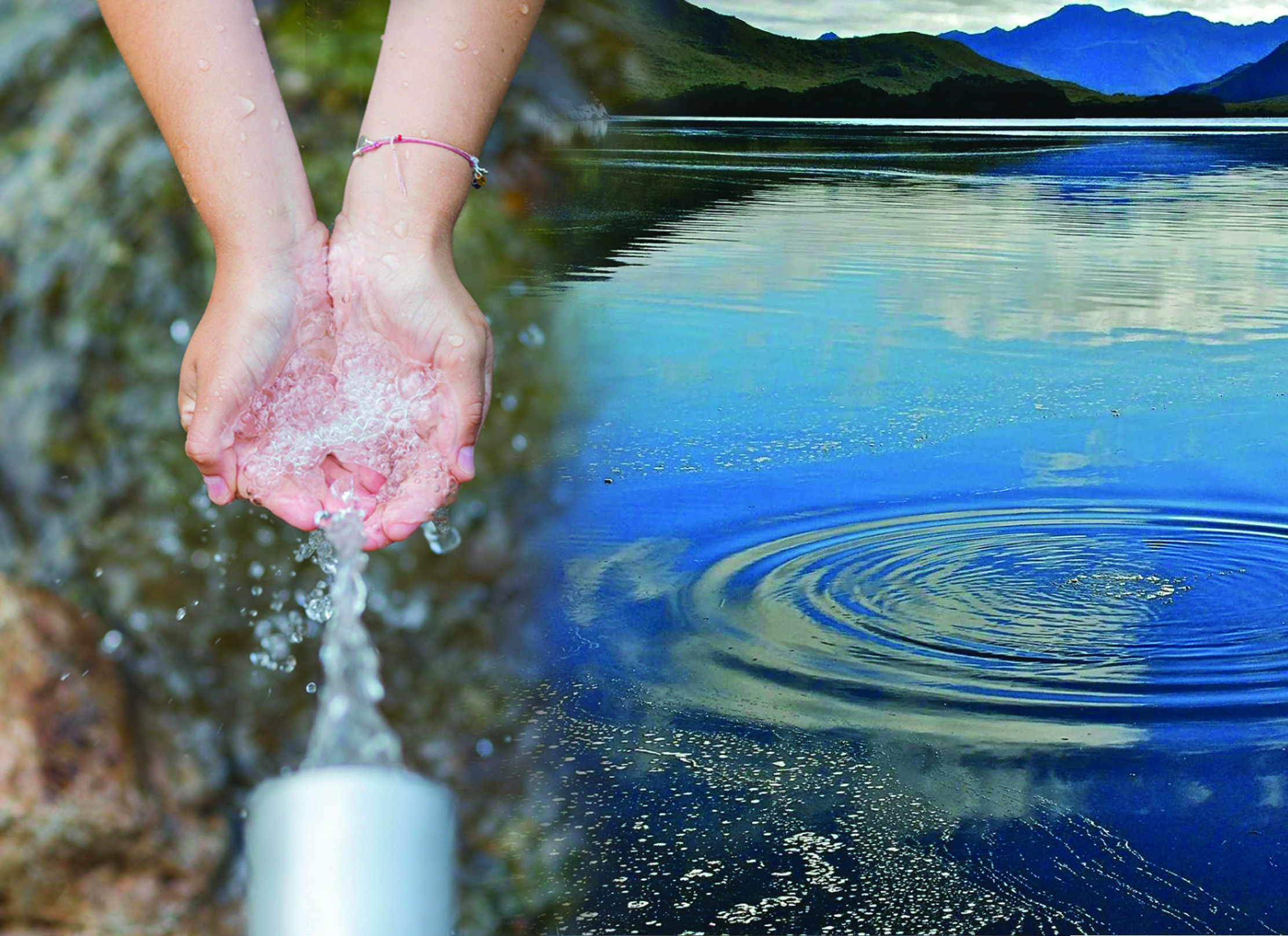 Sý tapshylyǵy: sebebi men saldary