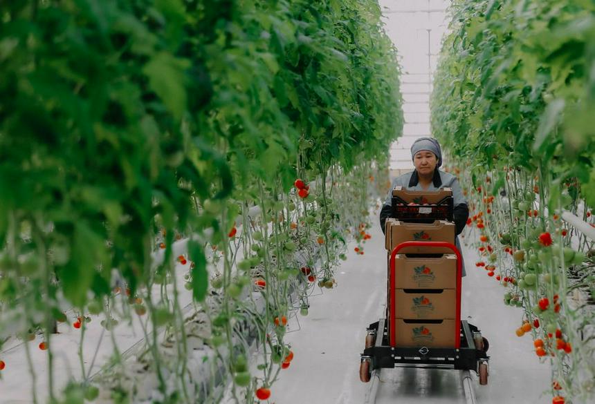 Aqjaıyqtyń jylyjaıy