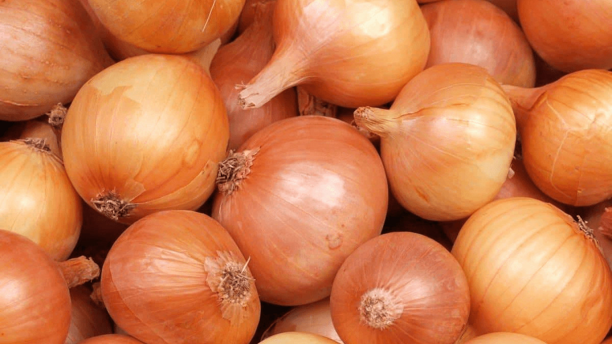 Fermerler: eksportqa shekteý joıylsyn