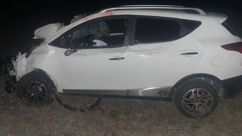 Jetisý oblysynda jol talǵamaıtyn kólik jylqylarǵa soǵyldy