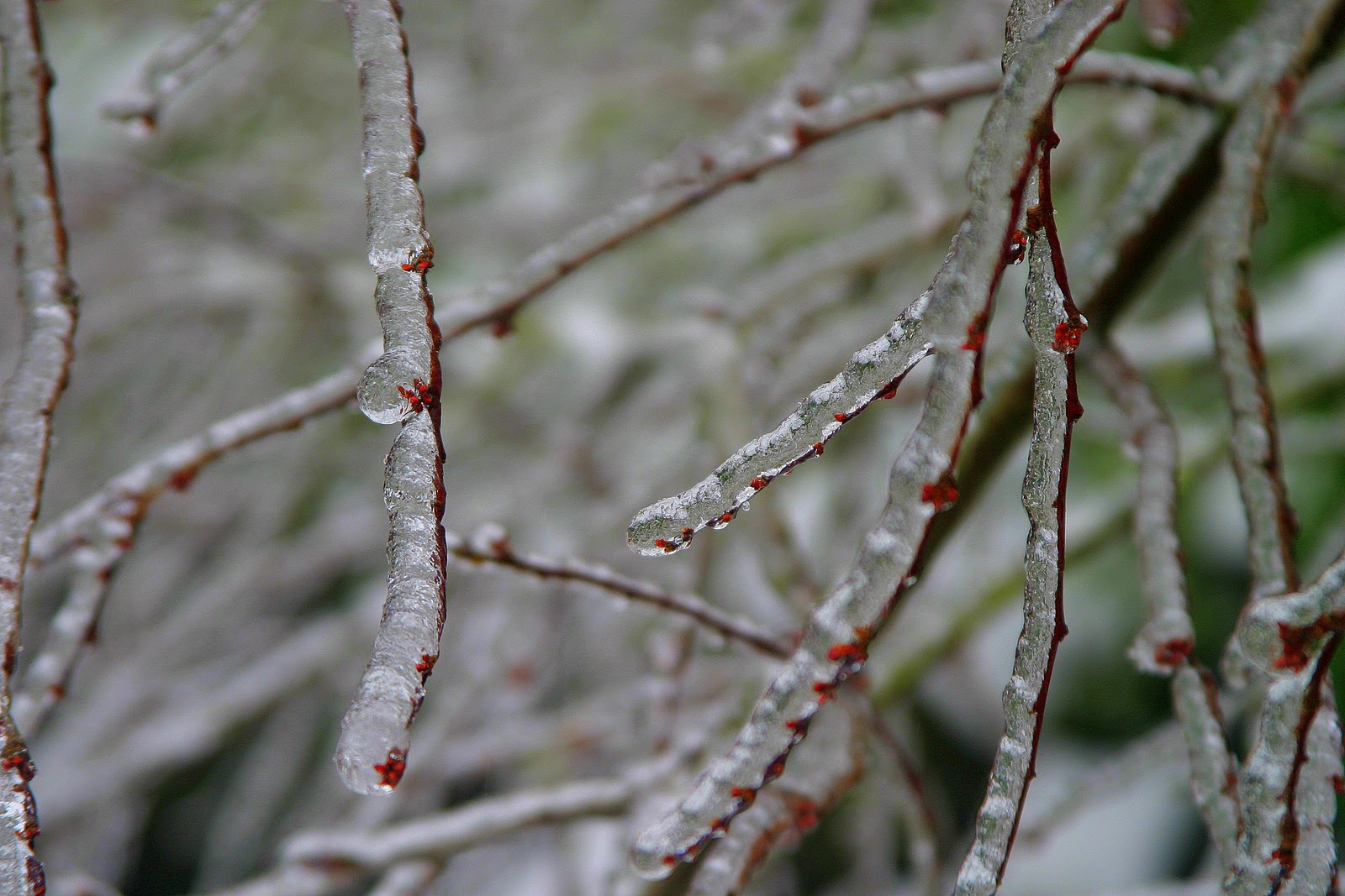 16 naýryzǵa arnalǵan aýa raıy boljamy