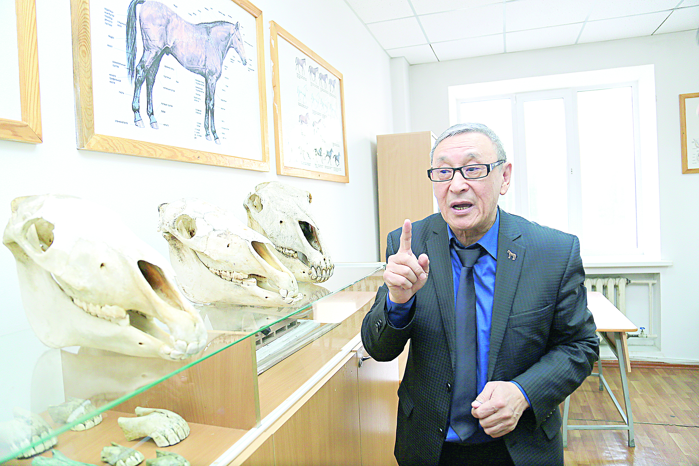 Tólegen Asanbaev, belgili jylqytanýshy: Qazaq jylqynyń tuıaǵyna qaryzdar