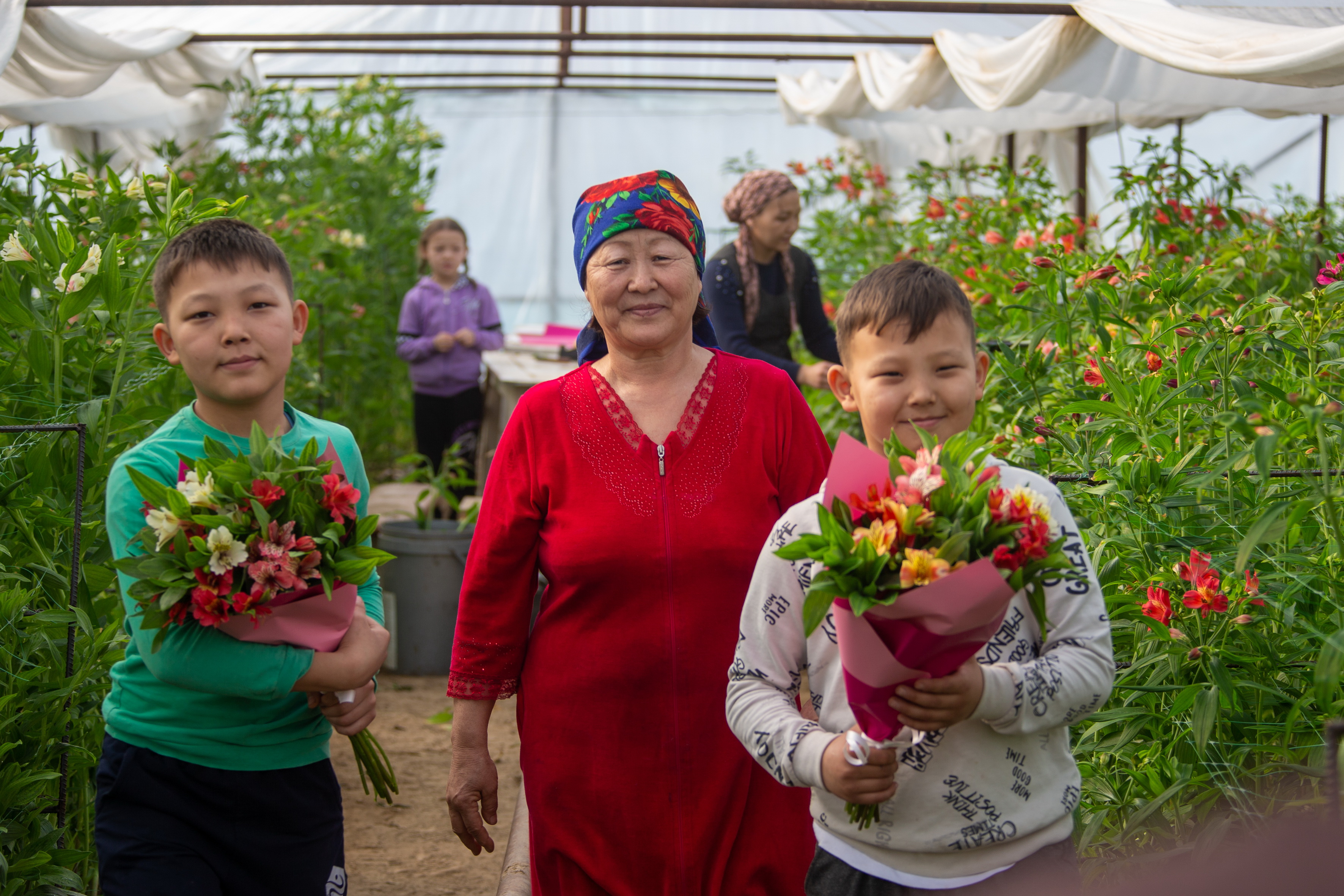 Perý gúlin ósirgen ana