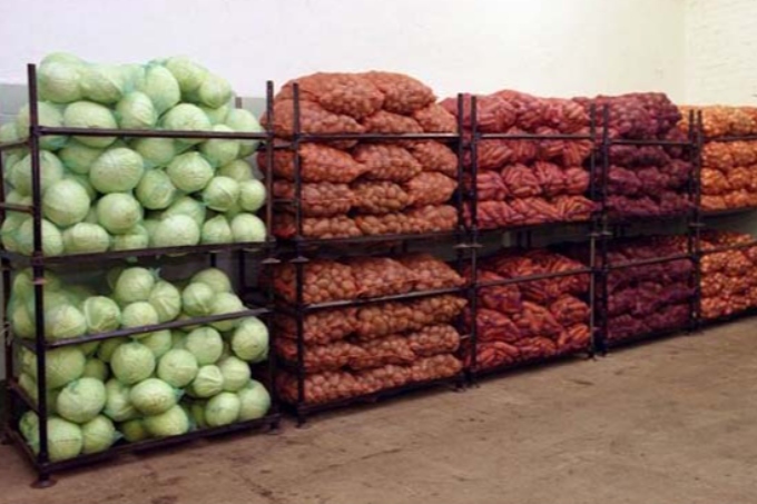 Kókónis qoımalary kóbeıedi