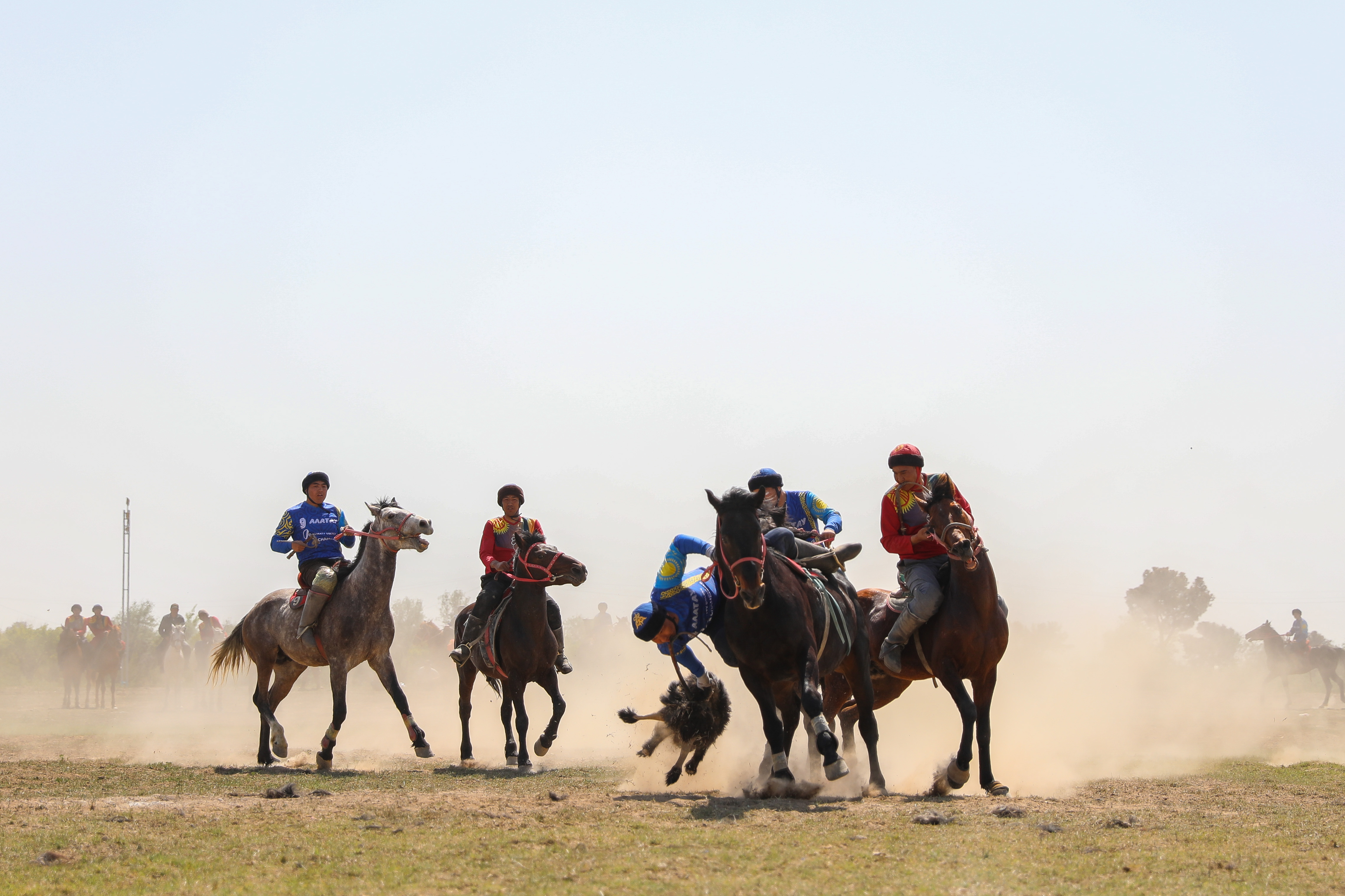 Bas báıge – «Alataýda»