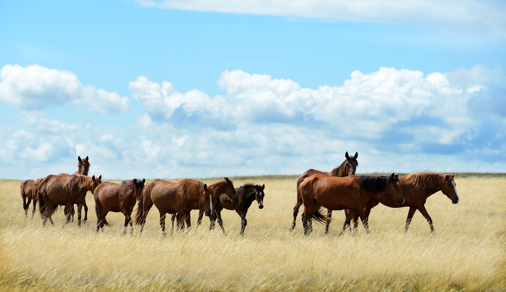 Jaıylymdyq jer tapshy