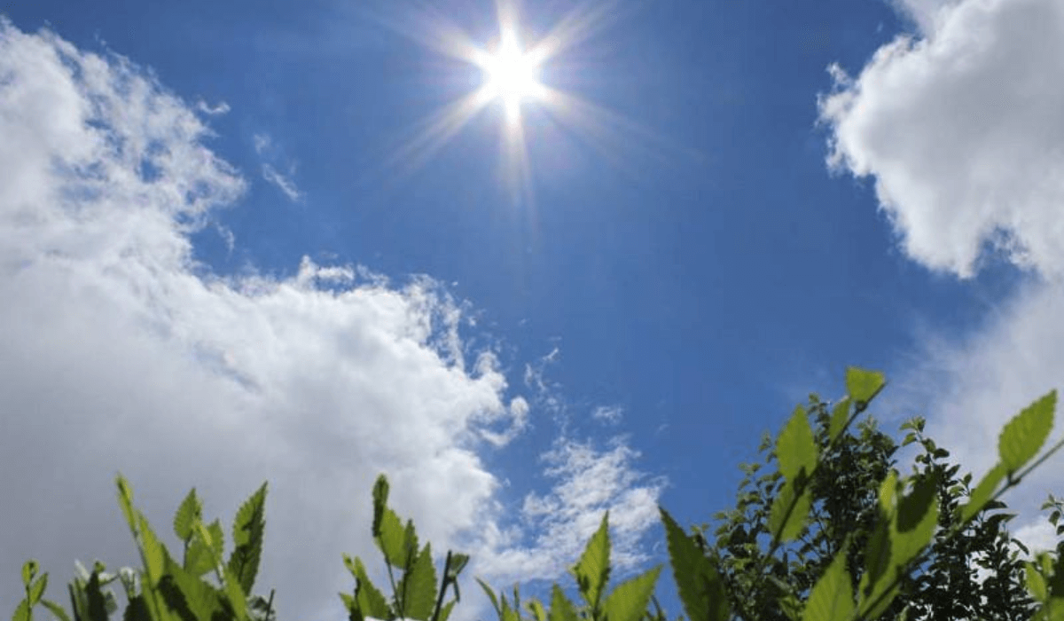 Elimizdiń basym bóliginde kún ashyq bolady