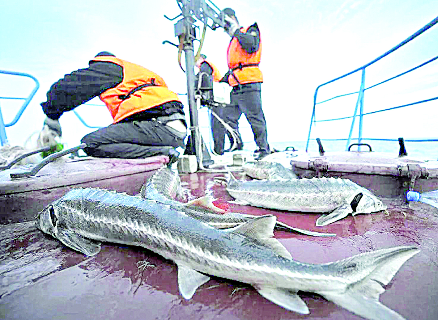 Brakonerge tosqaýyl bolmaı tur