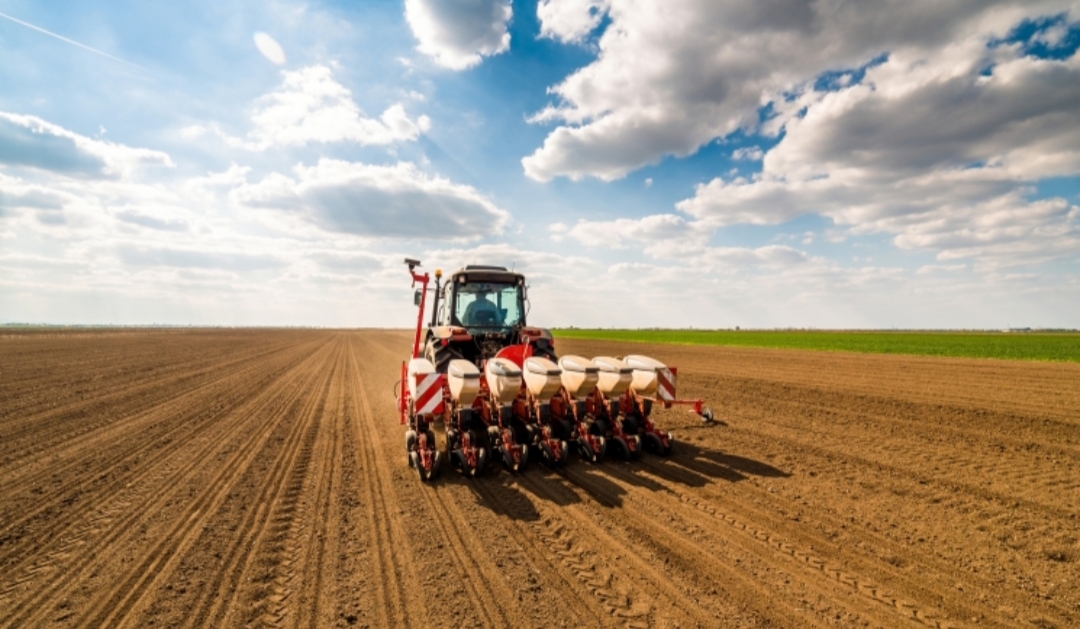 Qazaqstanda egis naýqany qarqyn alýda