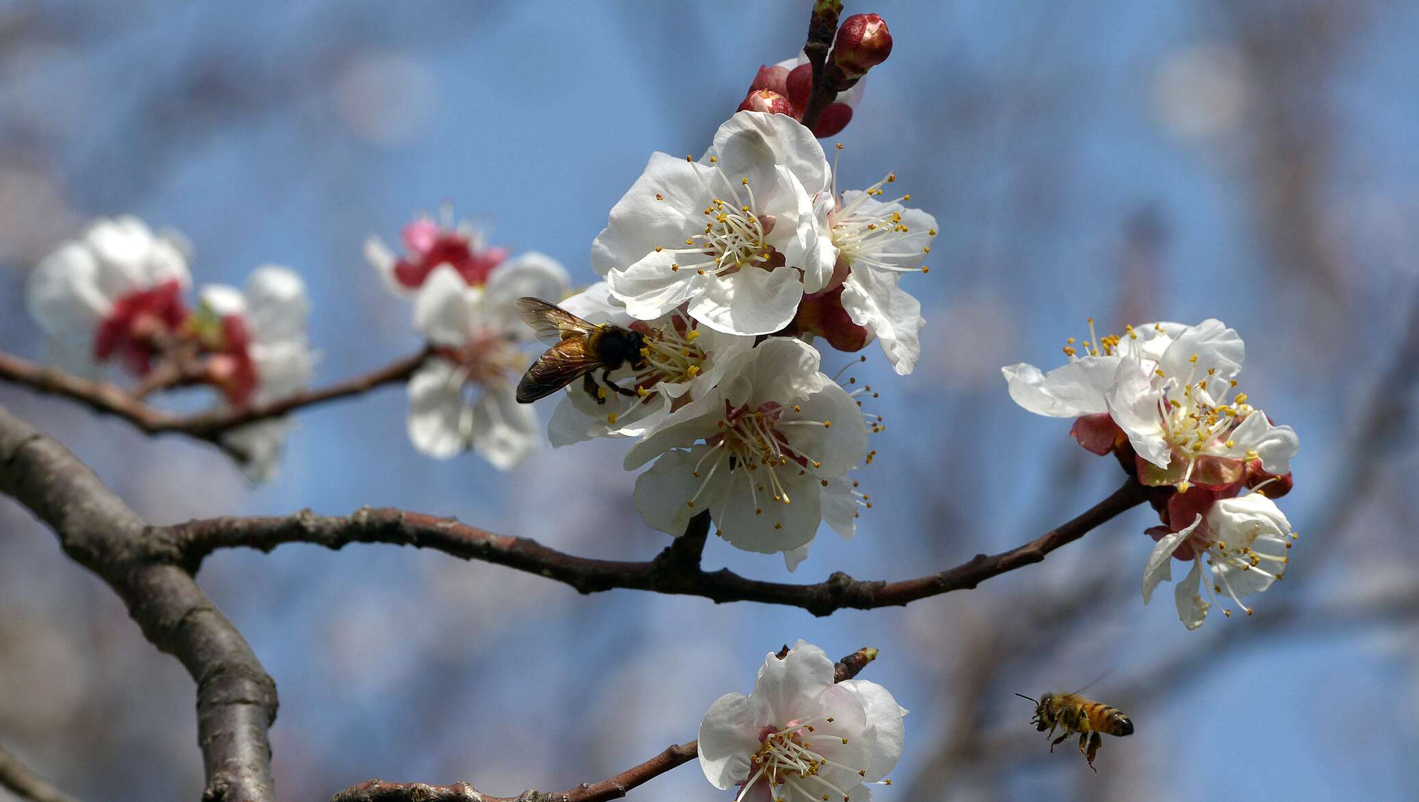 5 sáýirge arnalǵan aýa raıy boljamy