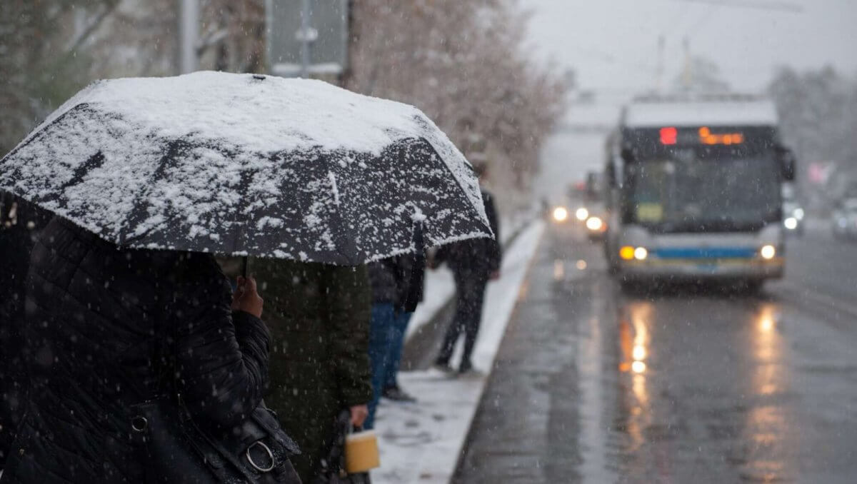 10 sáýirge arnalǵan aýa raıy boljamy