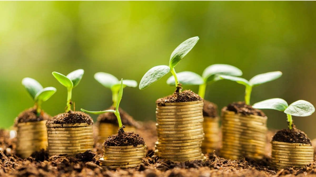 Zeketti ramazan aıynda berý kerek pe?