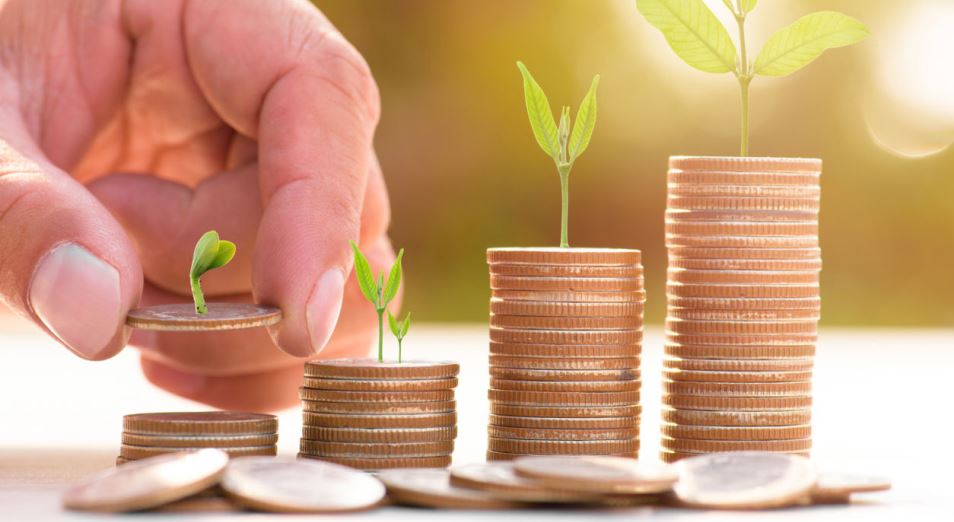 Keıbir sharýalar memleketti aldap, artyq sýbsıdııa alǵan