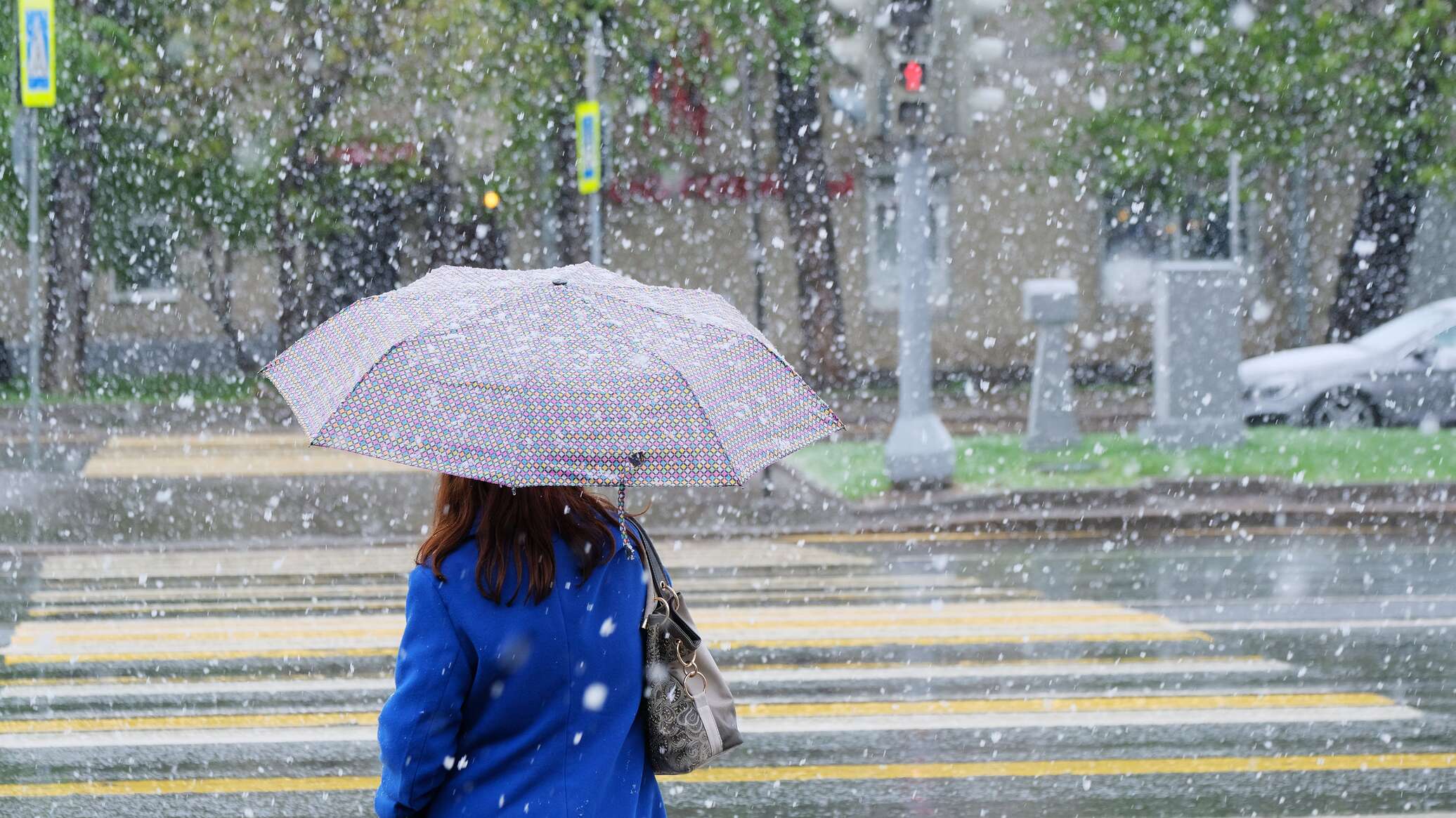 12 sáýirge arnalǵan aýa raıy boljamy