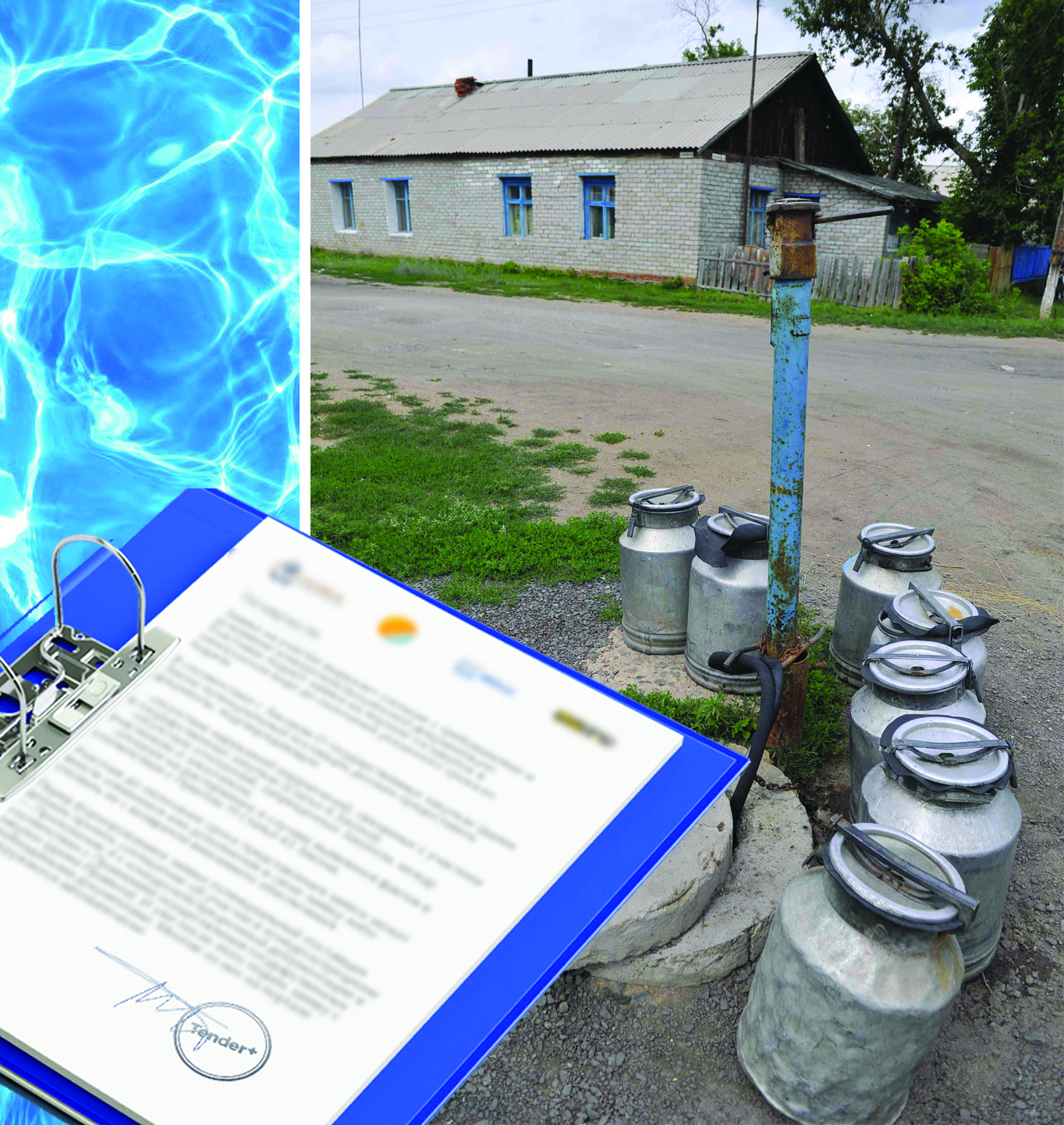 Tııanaqsyz merdiger tenderdi qalaı utady?