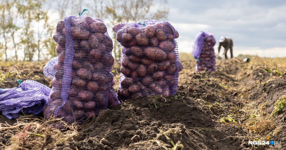 Tımofeı aǵaıdyń tirshiligi