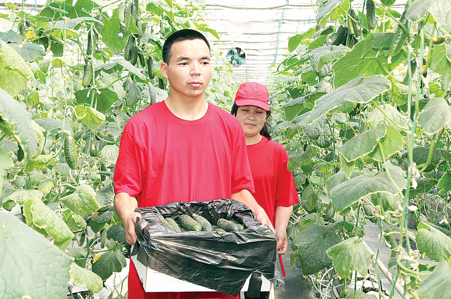 Kedergige kezikken kásipkerlik