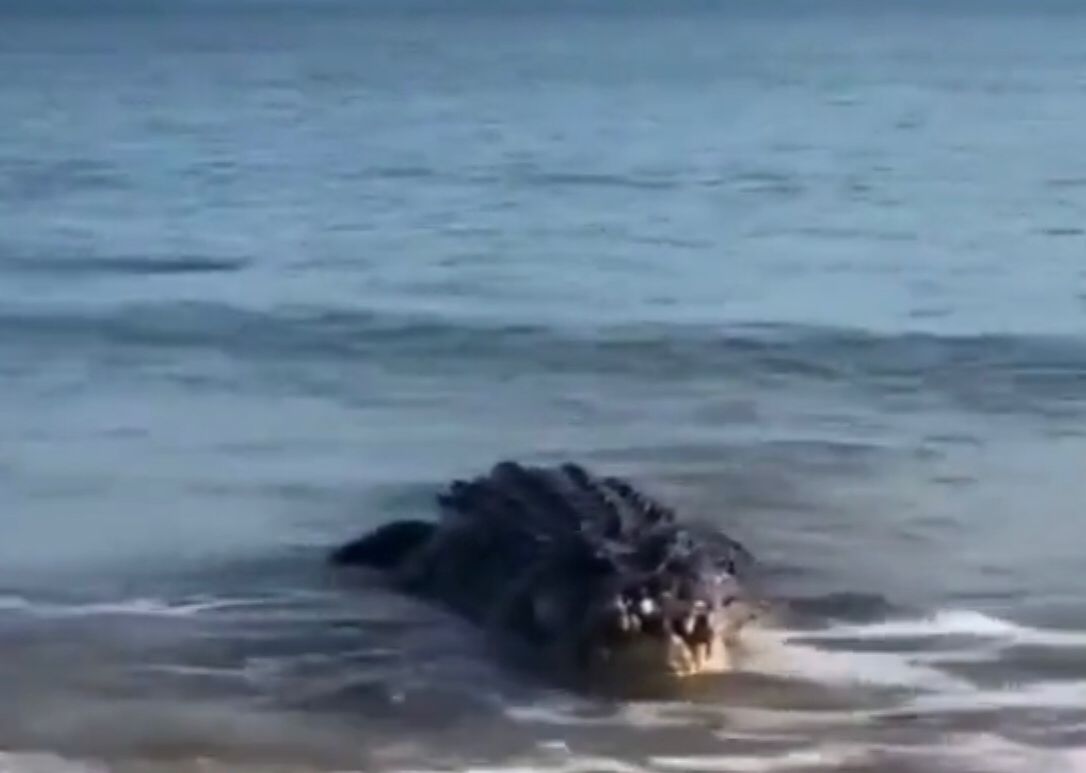 Kaspıı teńizinde qoltyraýyn júrgeni ras pa?