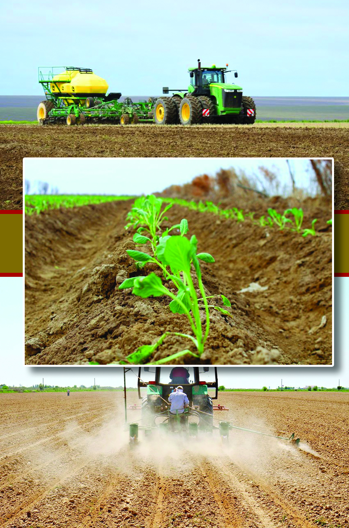 Ylǵal japqannyń yryzdyǵy mol